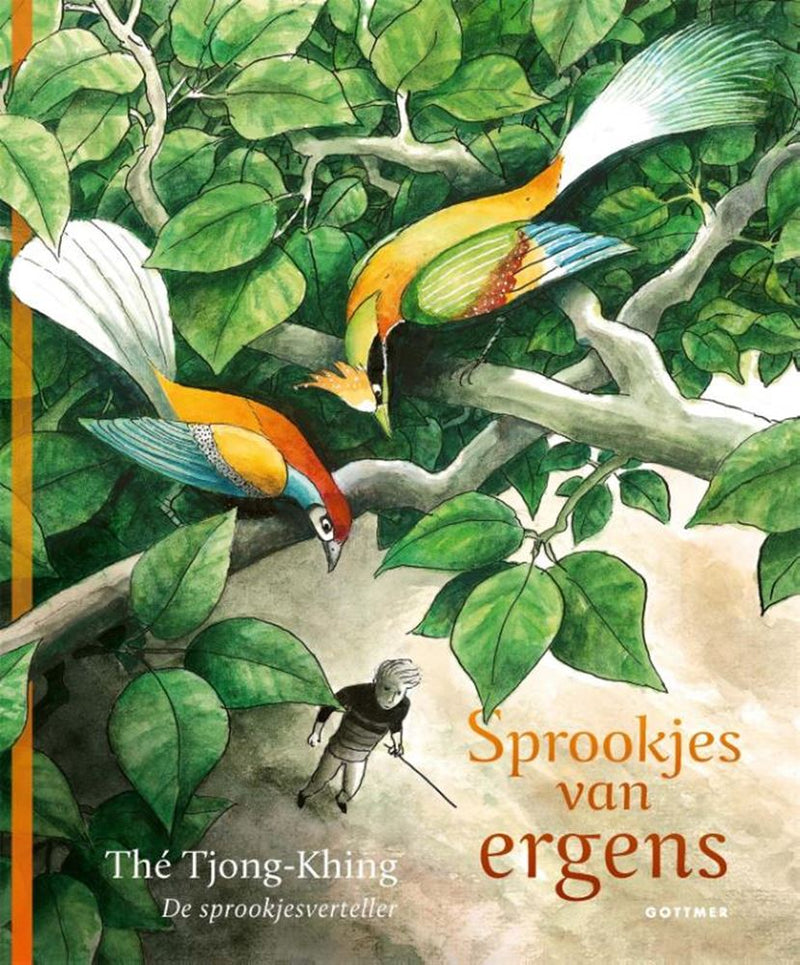 Verhalenboek: sprookjes van ergens 5+