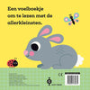 Gottmer uitgevers groep voelboek: dit kleine konijntje 1+