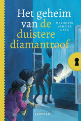 Het geheim van de duistere diamantroof - afbeelding 1