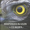 Roofvogels uilen in europa volwassene