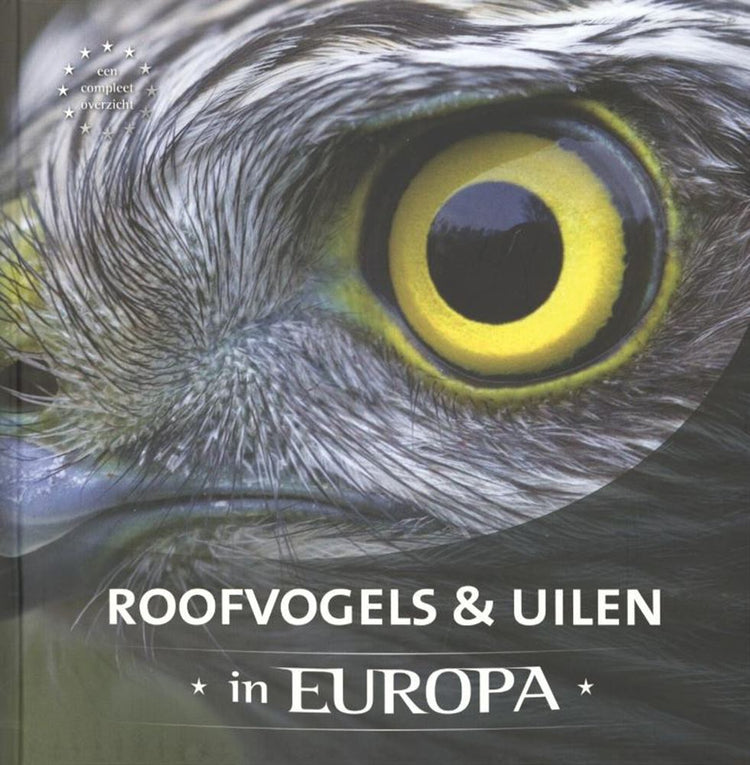 Roofvogels uilen in europa volwassene