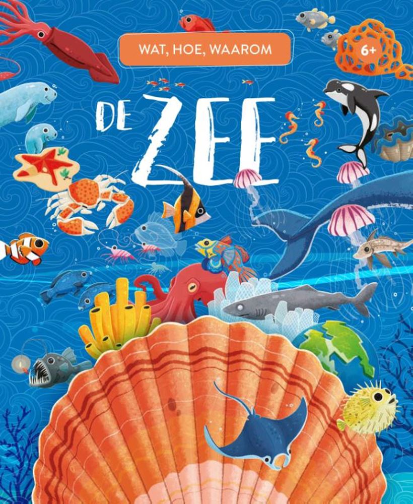 Rebo publishers de zee - wat, hoe, waarom 6+