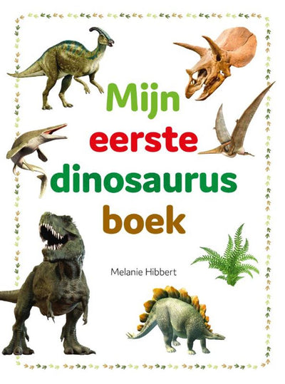 Rebo publishers mijn eerste dinosaurusboek 4+