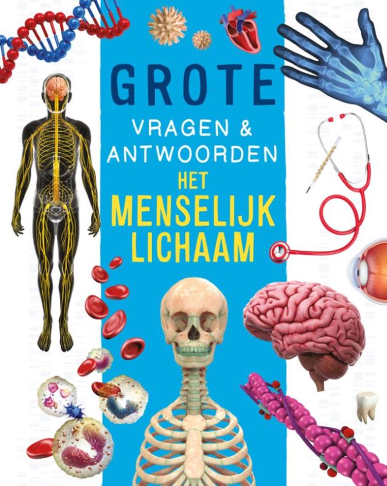 Rebo publishers het menselijk lichaam - grote vragen antwoorden