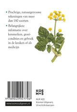 Compactgids kruiden volwassene | 2 stuks - afbeelding 2