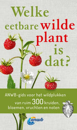 Welke eetbare wilde plant is dat? - afbeelding 1