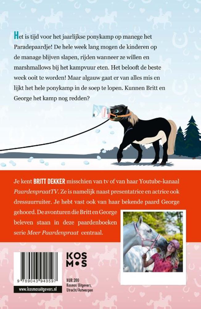 Britt: een ponykamp vol verrassingen 6+