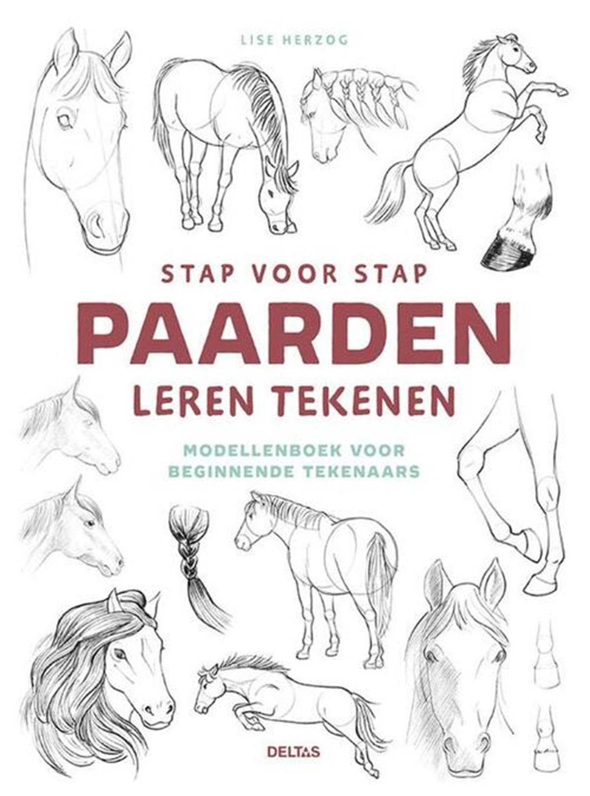 Deltas stap voor stap paarden leren tekenen