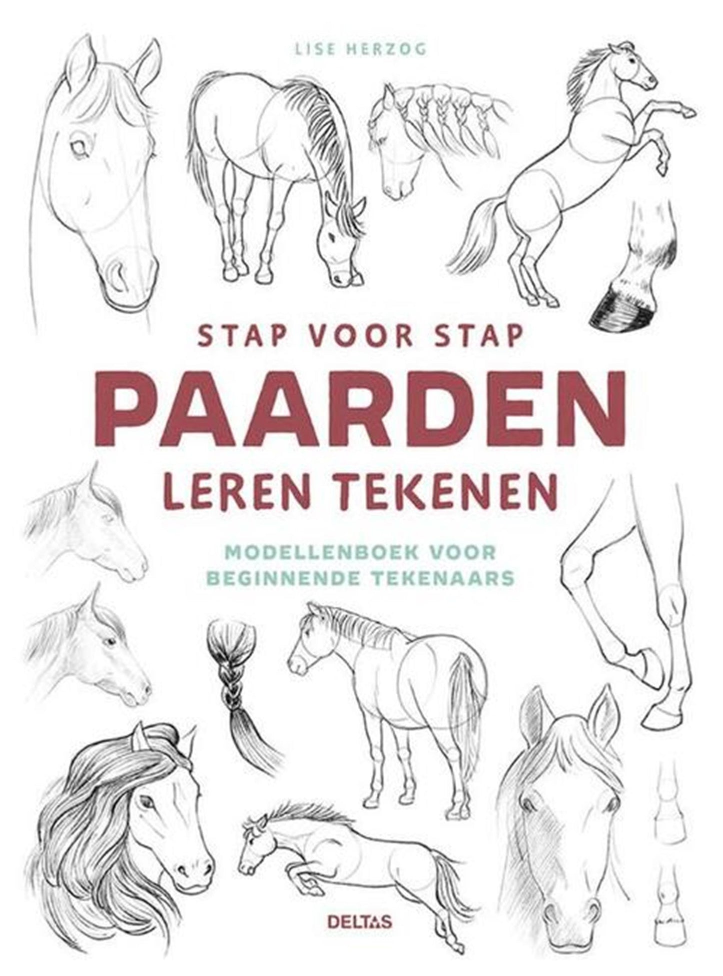 Deltas stap voor stap paarden leren tekenen