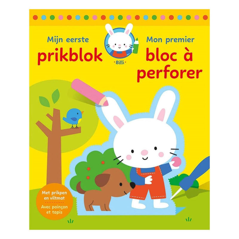 Deltas mijn eerste prikblok - billi