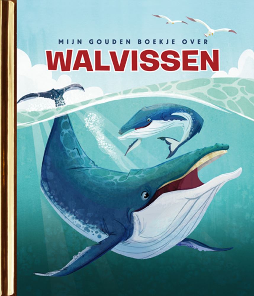 Mijn gouden boekje over walvissen 4+