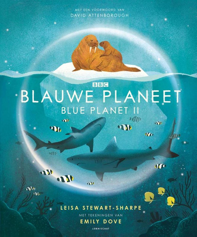 Blauwe planeet. 7+