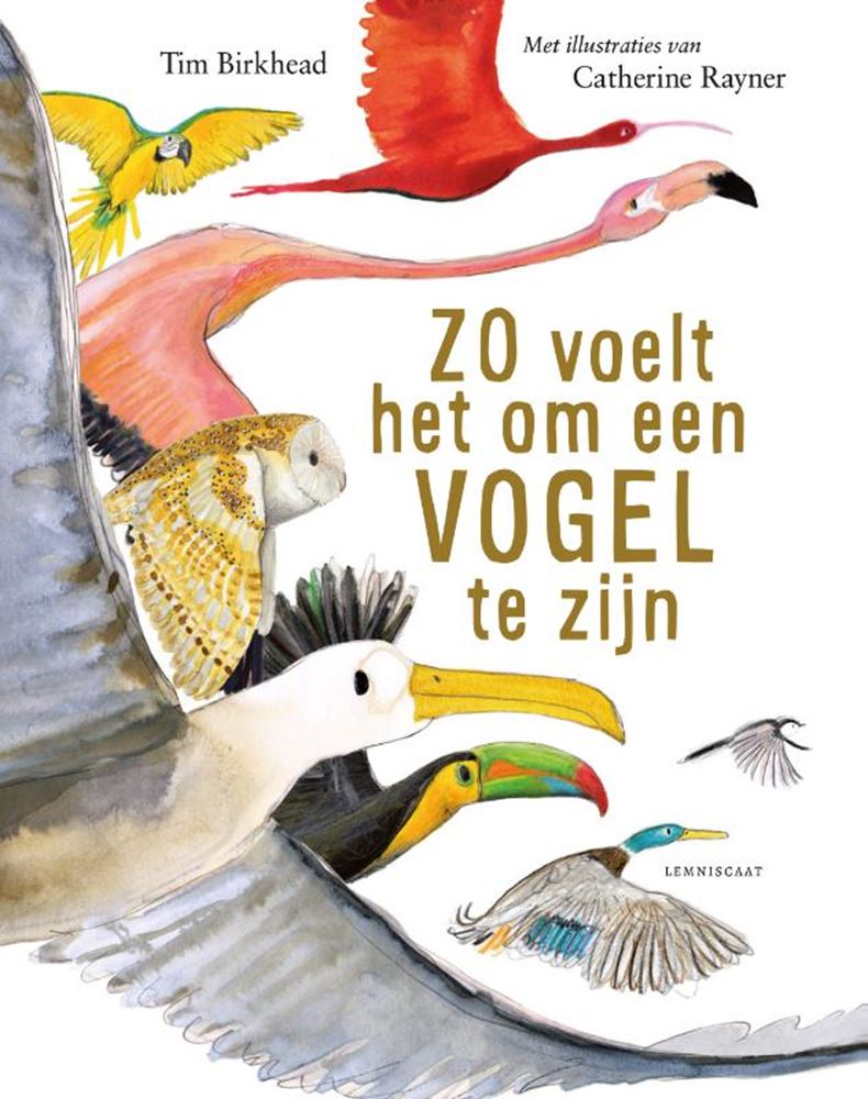 Zo voelt het om een vogel te zijn 9+