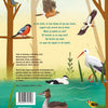 Welke vogels zie jij? 2+