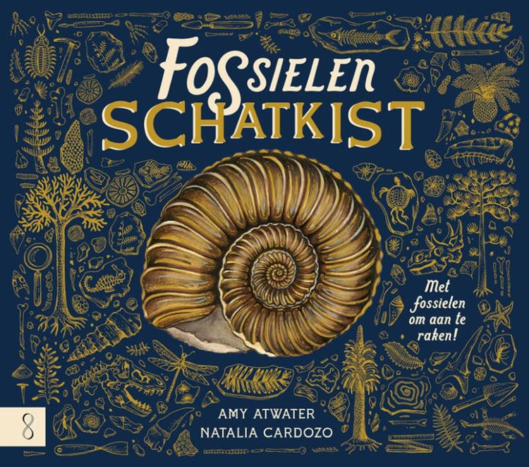 Informatief: de fossielenschatkist 7+
