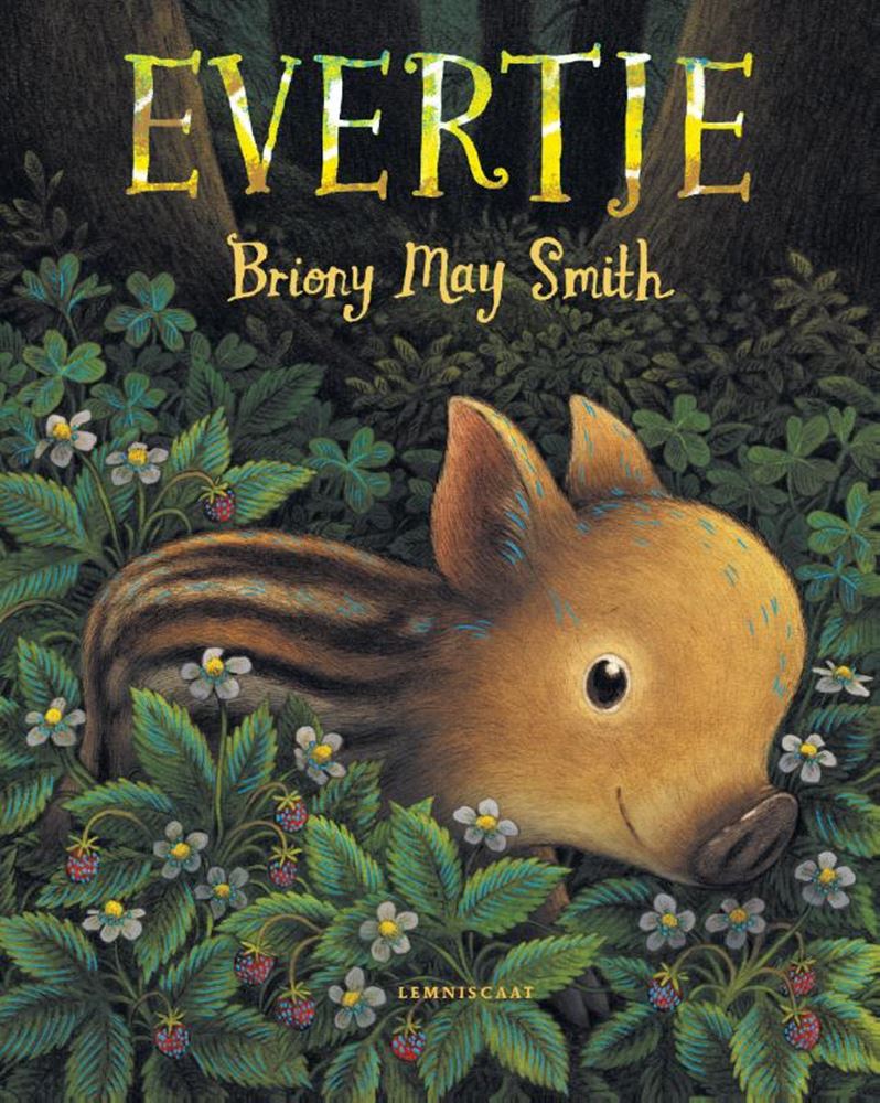 Prentenboek: evertje 4+