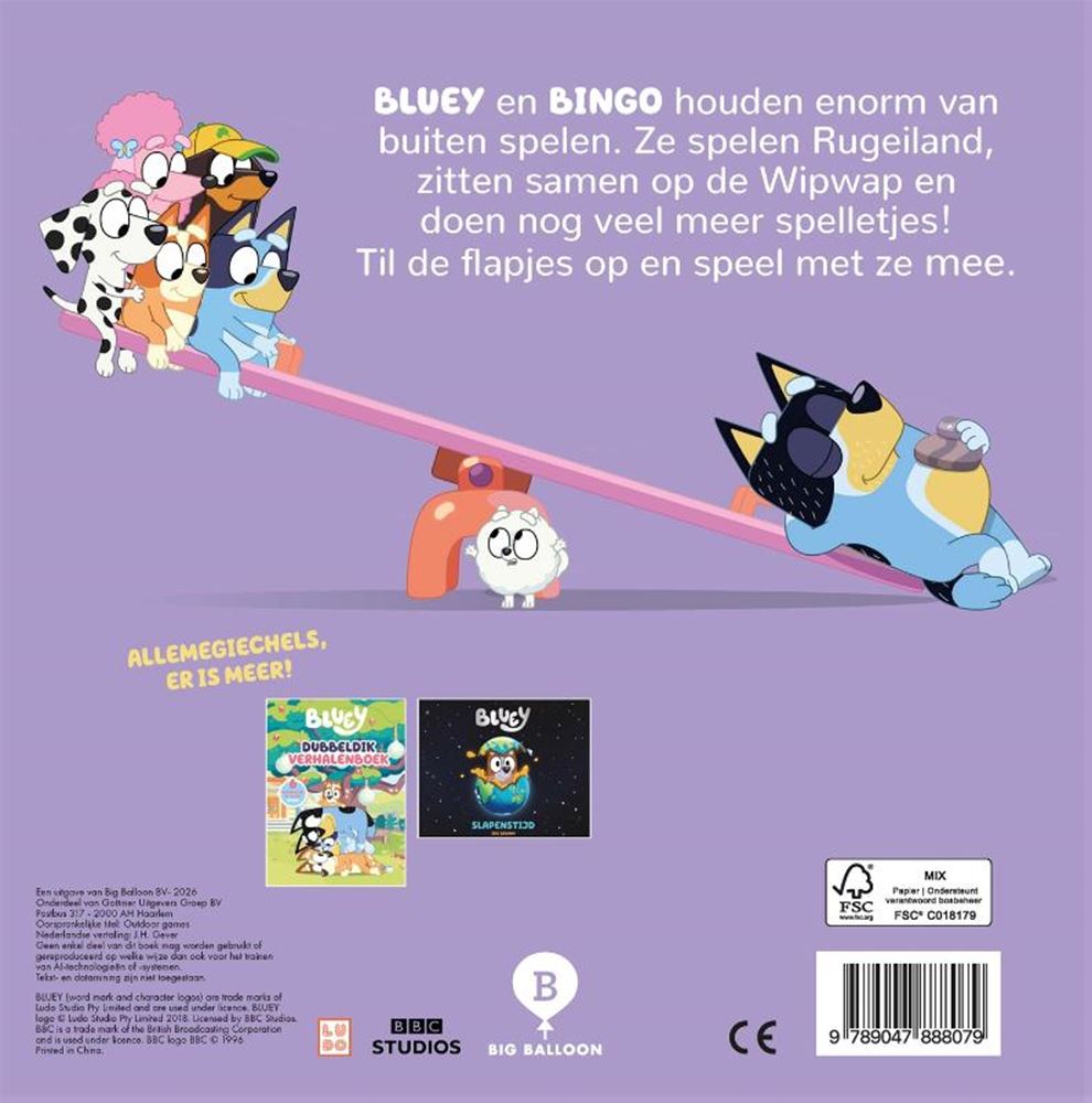 Centraal boekhuis buitenspelletjes - flapjesboek