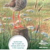 Minigids boerenlandvogels