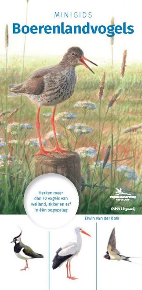 Minigids boerenlandvogels