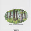 Bodo liedjesboek met cd. 6+