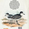 Roots. natuurboek vogels. 8+