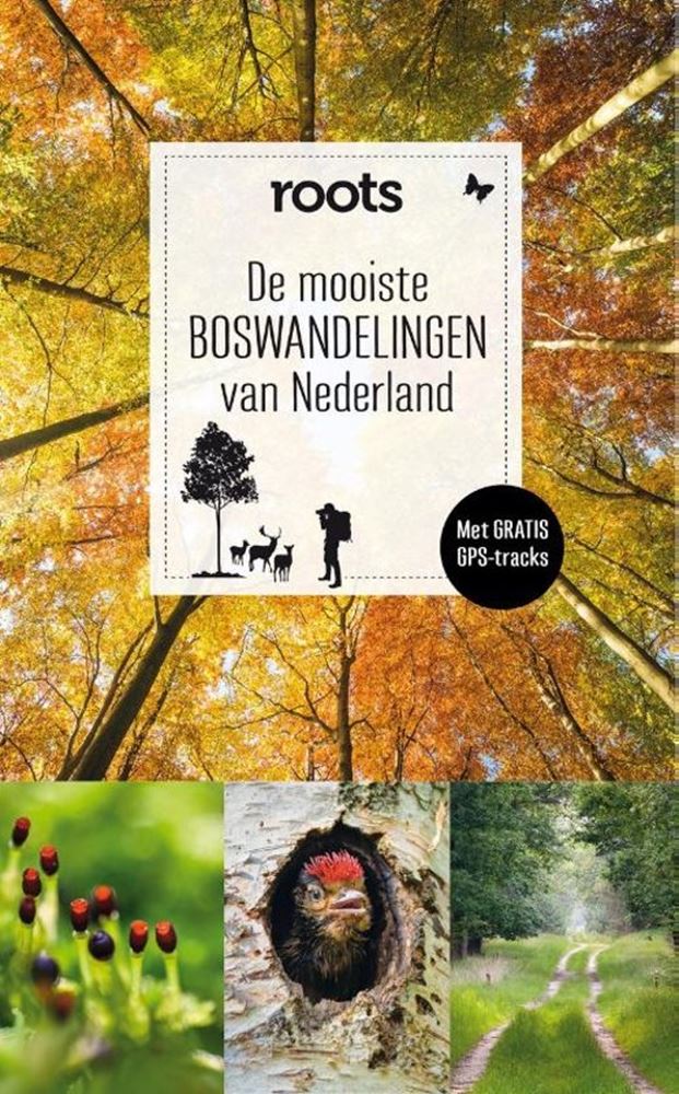 De mooiste boswandelingen van nederland