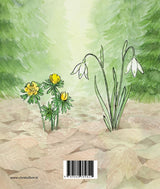 Winter 1+ - afbeelding 2