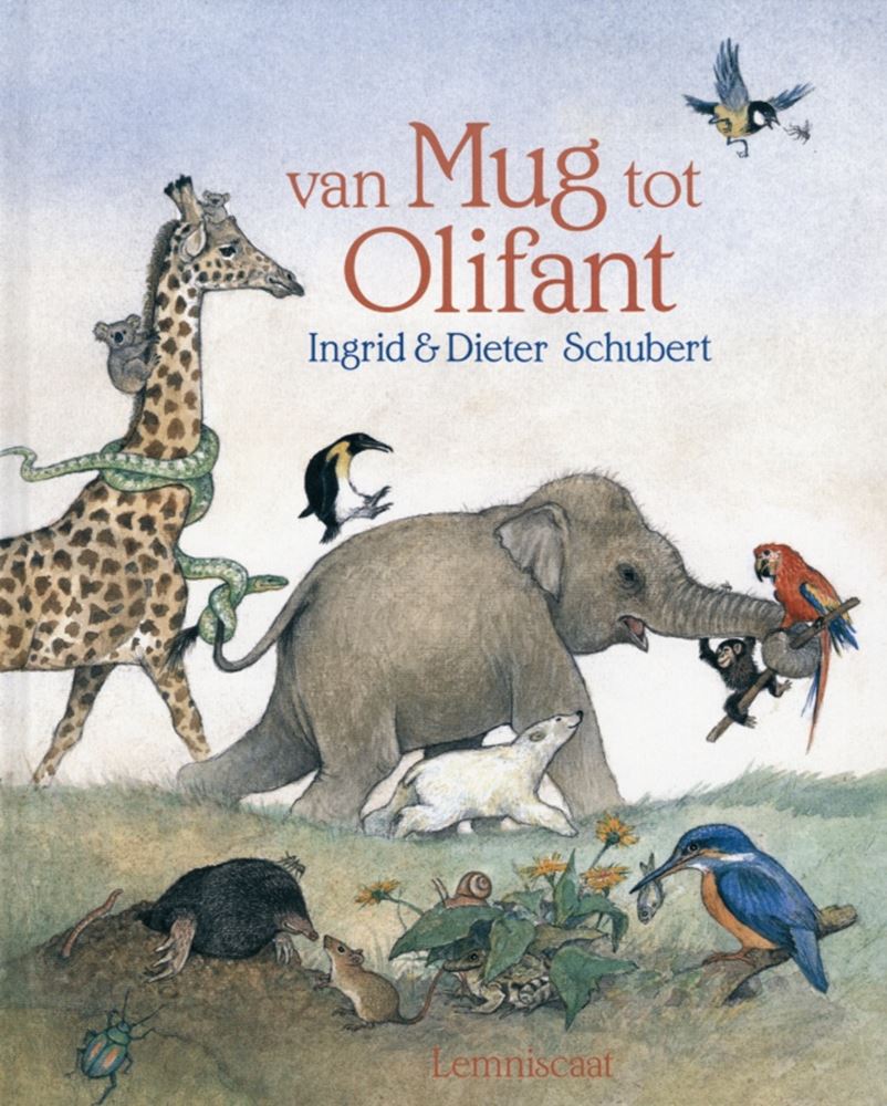 Van mug tot olifant. 5+
