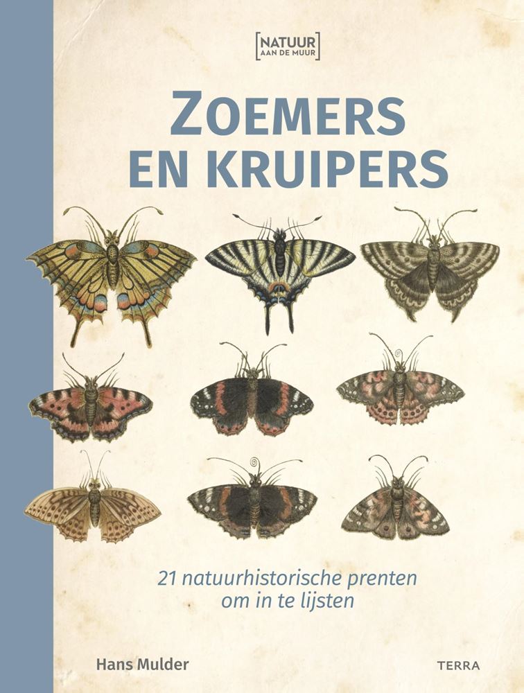 Natuur aan de muur, zoemers en kruipers.