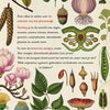 Het plantenboek. 8+
