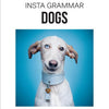 Insta grammar: dogs