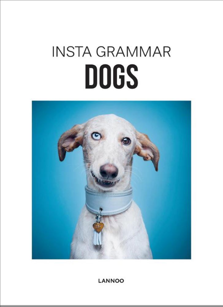 Insta grammar: dogs