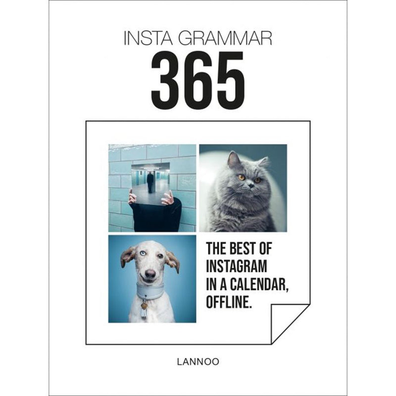 Insta grammer 365