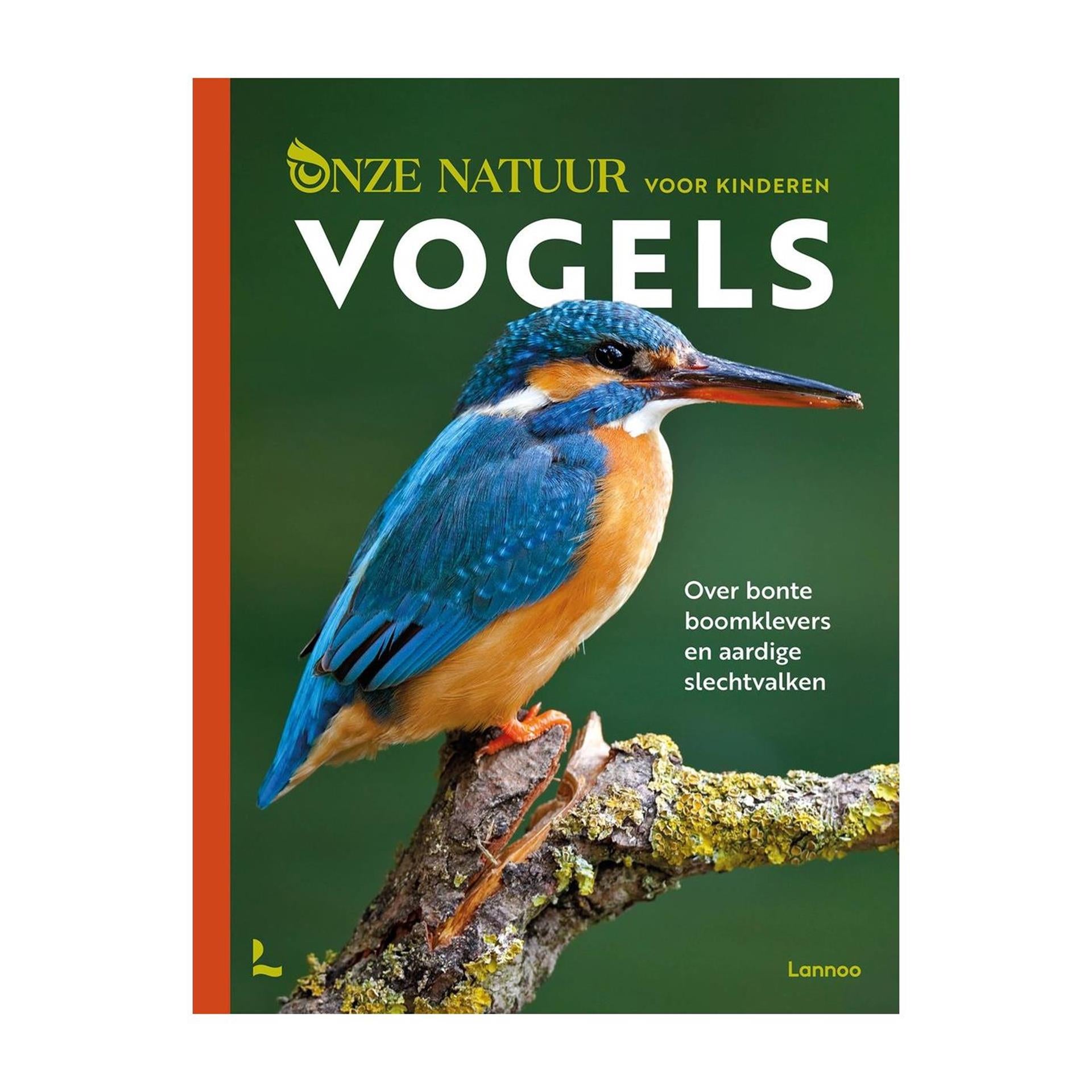 Lannoo natuurboek vogels voor kinderen 25x33cm