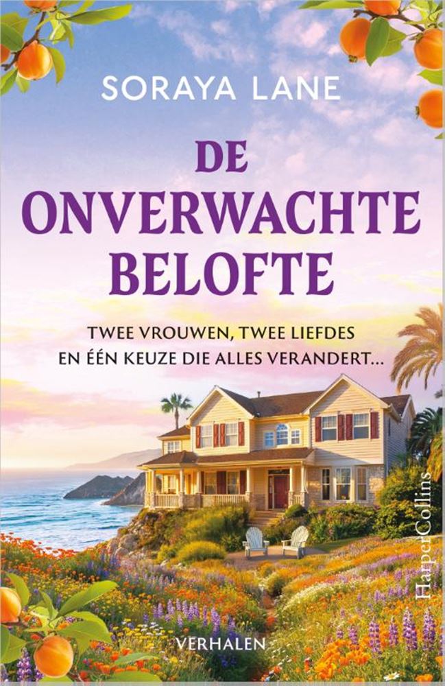 De onverwachte belofte -