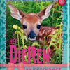 Interstat vriendenboek dieren. 4+