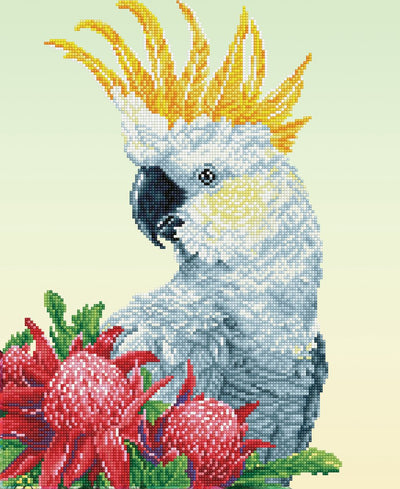 Diamond dotz® diamond painting volwassenen - ronde steentjes - volledig pakket - hobby - - dd10.059 - dieren - white cockatoo warathas 51 x 41 cm