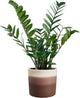 Elho colour gradiant rond 18cm - bloempot voor binnen - 100% gerecycled plastic - ø 18.2 x h 16.8 - cederbruin