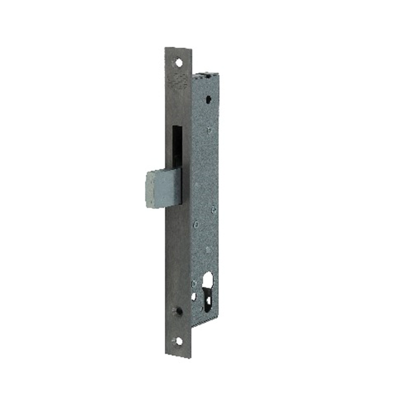 Nemef 9660 zwenkschootslot | dm30mm | voorplaat rvs 24x245mm rechthoekig | staal verzinkte zwenkschoot | dr 1+2+3+4 - 9966207000