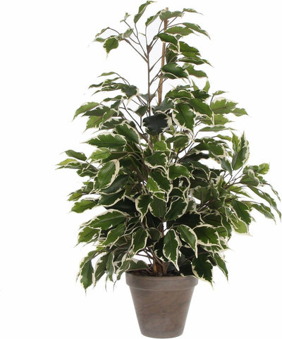 Mica decorations kunstplant ficus - groen wit - 65 cm - binnen - kunstplanten nepplanten binnenplanten