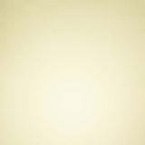 Tonic studios • vellum paper pearled gold - afbeelding 2