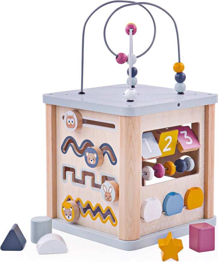 Bigjigs toys - activiteitenkubus