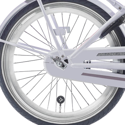 Alpina achterwiel 22 hlqc ocean clubb zilver zink spk