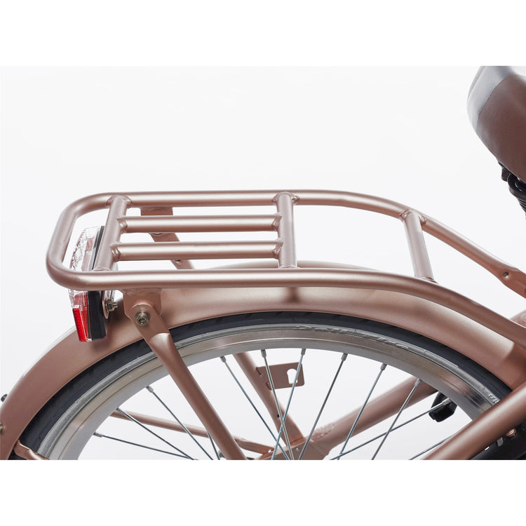 Alpina achterdrager 22 clubb rose gold matt