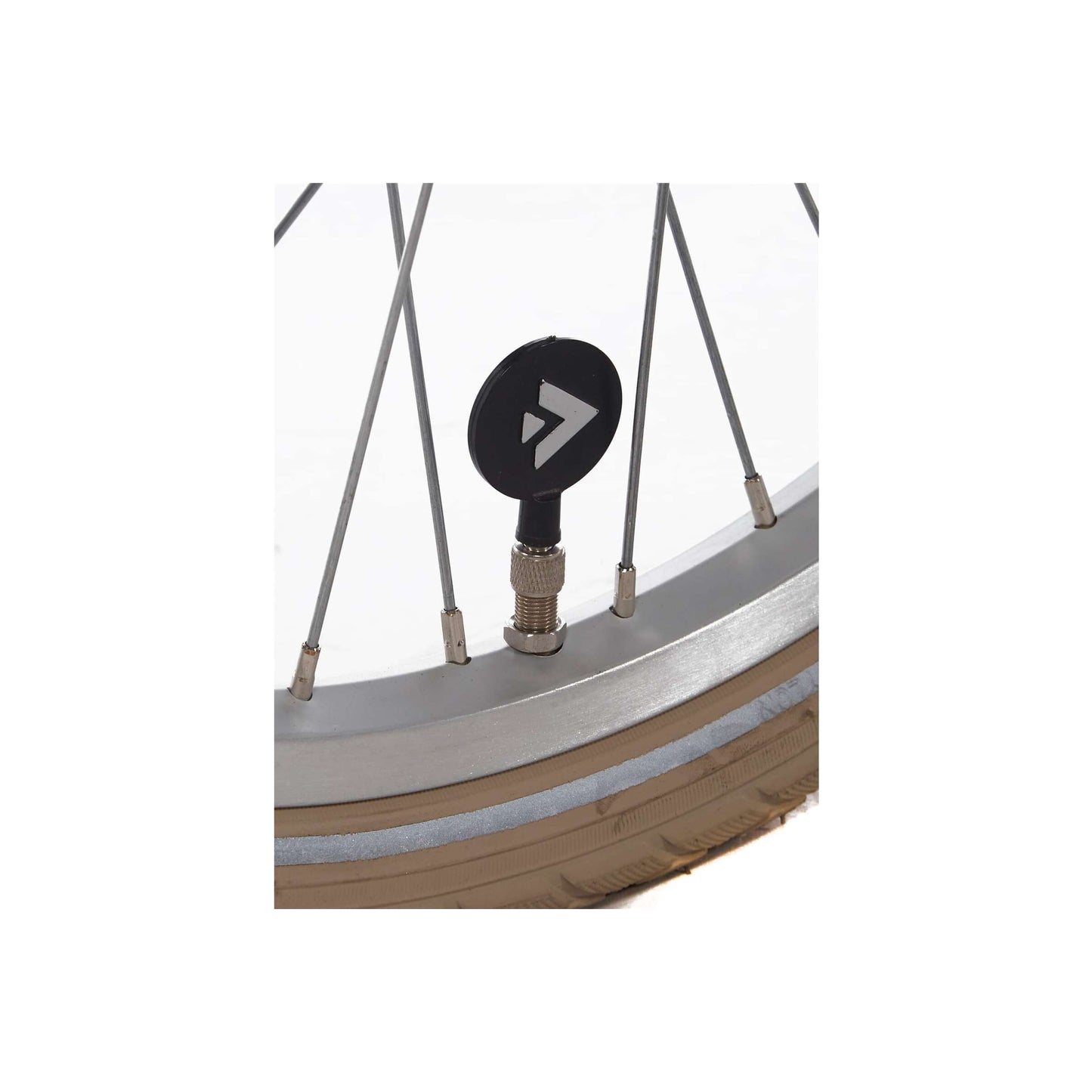 Alpina Cargo M20 Velvet Groen