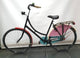 Axa 28 inch omafiets papegaai 57cm + solid