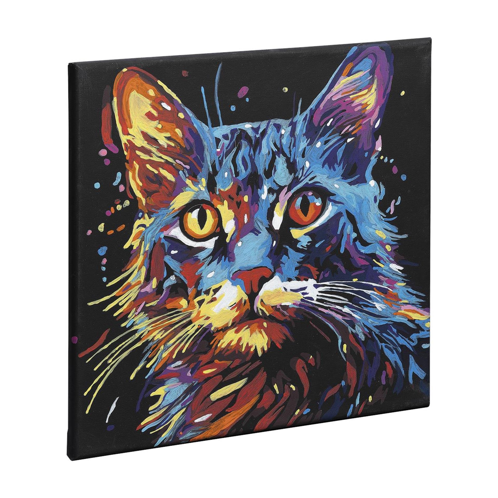 Nassau schilderen op nummer zwart canvas kat, 30x30cm