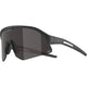 Olympic sportswear alpina sports sportbril sonic hr m q-lite spiegel mat zwart