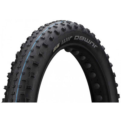 Buitenband Schwalbe 26-4.00 (100-559) Jumbo Jim Evolution zwart vw