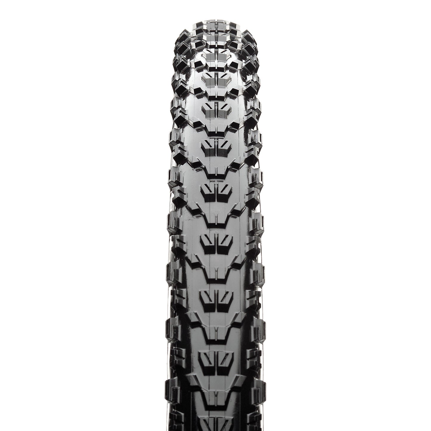 Maxxis buitenband Ardent EXO TR Tanwall 29 x 2.40 zw br vouw